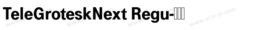 TeleGroteskNext Regu字体转换